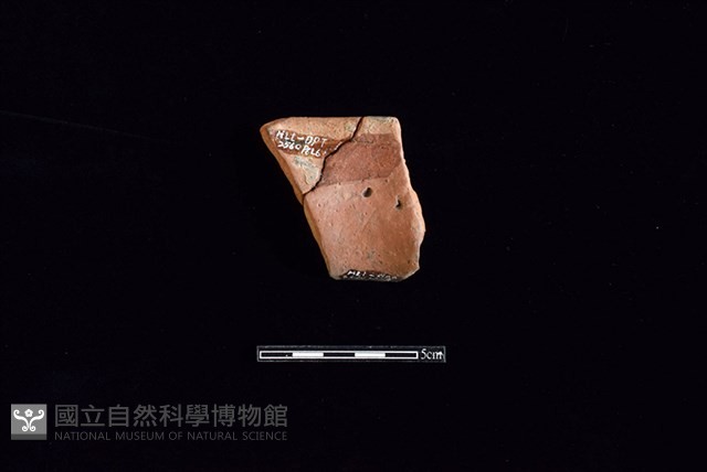 陶罐藏品圖，第2張