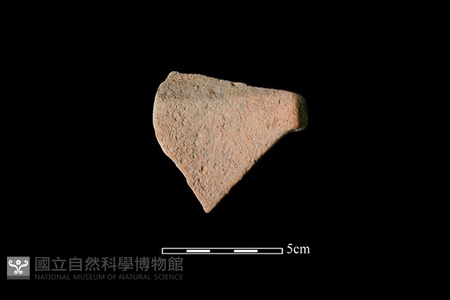 陶罐藏品圖，第2張