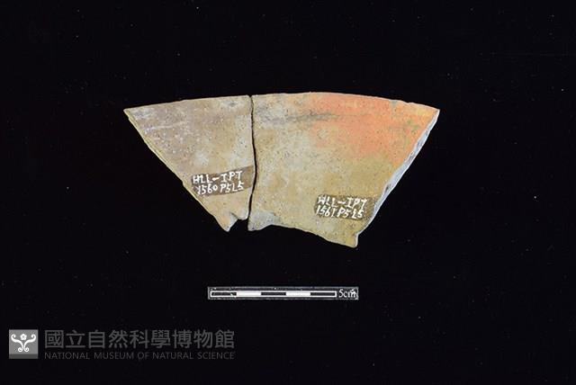 Accession Number:HLL-I-PT1560 Collection Image, Figure 2, Total 2 Figures