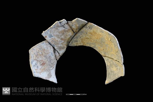 陶罐藏品圖，第2張