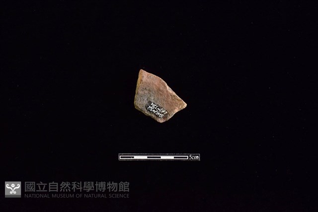 陶罐藏品圖，第2張
