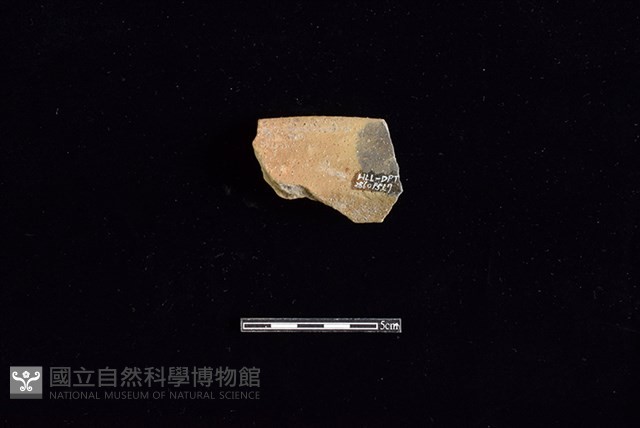 陶罐藏品圖，第2張