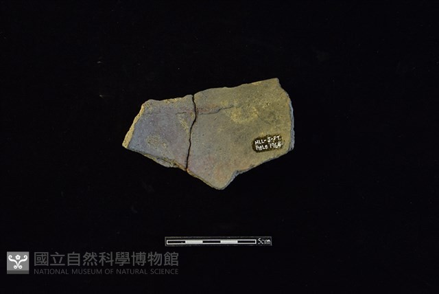 陶罐藏品圖，第2張