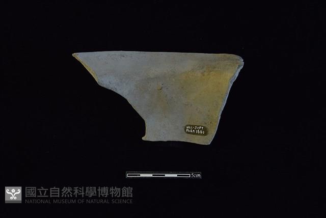 陶罐藏品圖，第2張