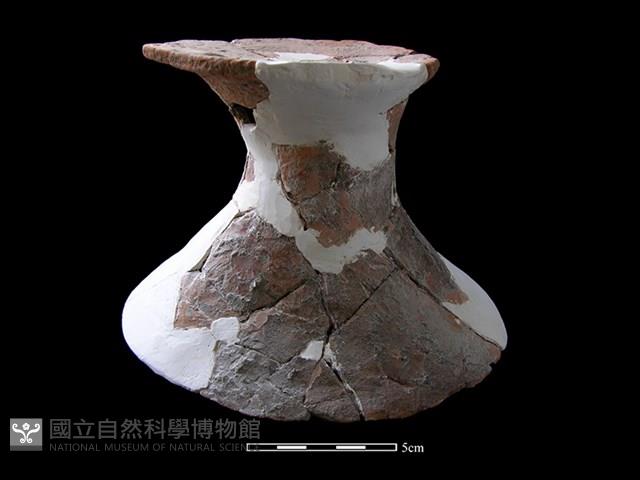 豆形器藏品圖，第2張