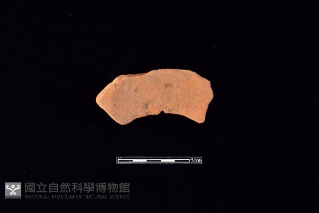 陶片藏品圖，第2張