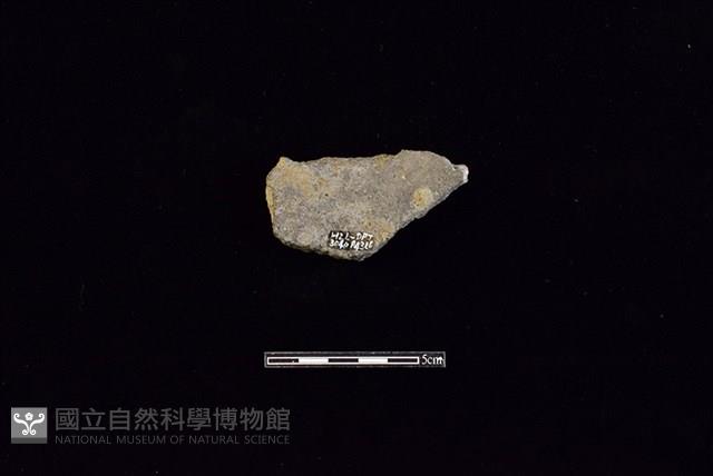 Accession Number:HLL-D PT3040 Collection Image, Figure 2, Total 2 Figures