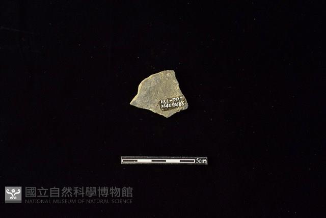 陶片藏品圖，第2張