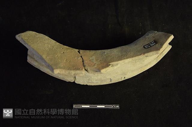 陶罐藏品圖，第2張