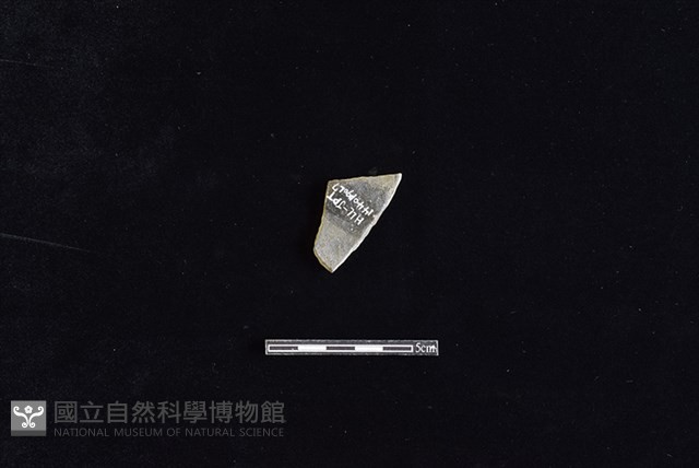 陶片藏品圖，第2張