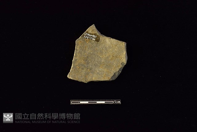 陶片藏品圖，第2張