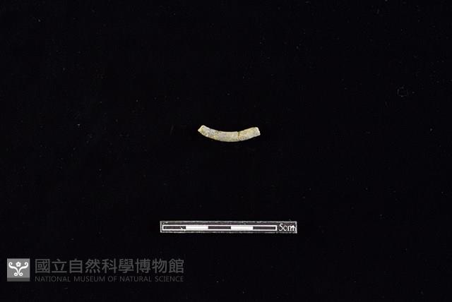 陶環藏品圖，第2張