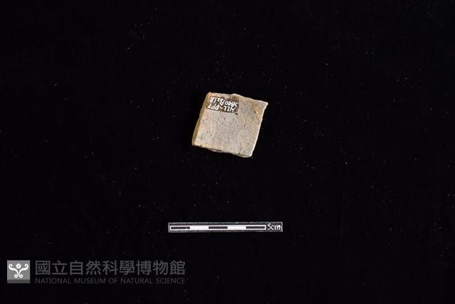 陶片藏品圖，第2張