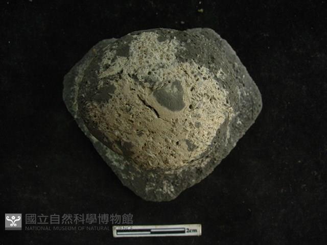 陶鈕藏品圖，第2張