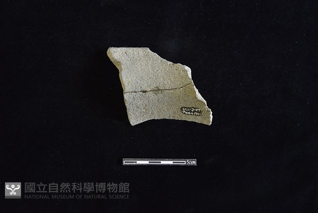 陶罐藏品圖，第2張