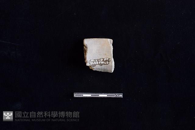 陶罐藏品圖，第2張