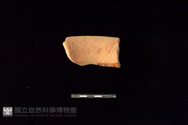陶罐藏品圖，第2張