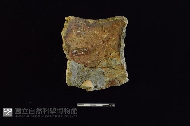 陶罐藏品圖，第2張