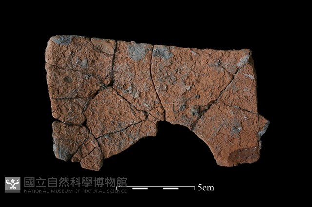 陶缽藏品圖，第2張