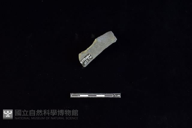 陶片藏品圖，第2張