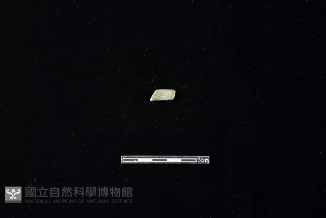 陶環藏品圖，第2張