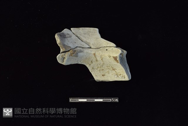 陶罐藏品圖，第2張