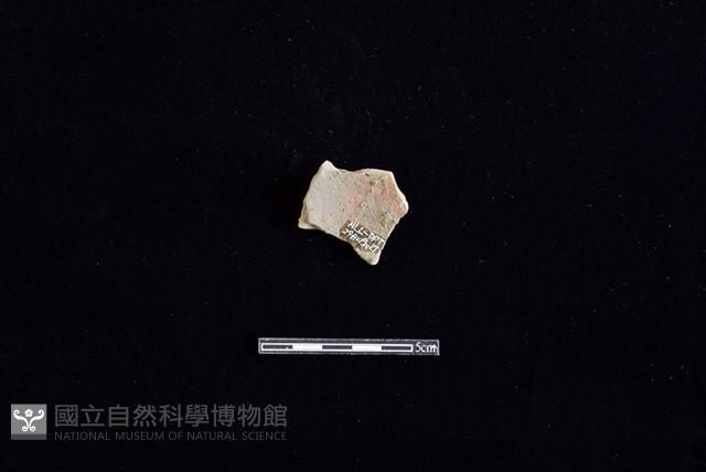 陶片藏品圖，第2張