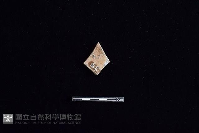 陶片藏品圖，第2張