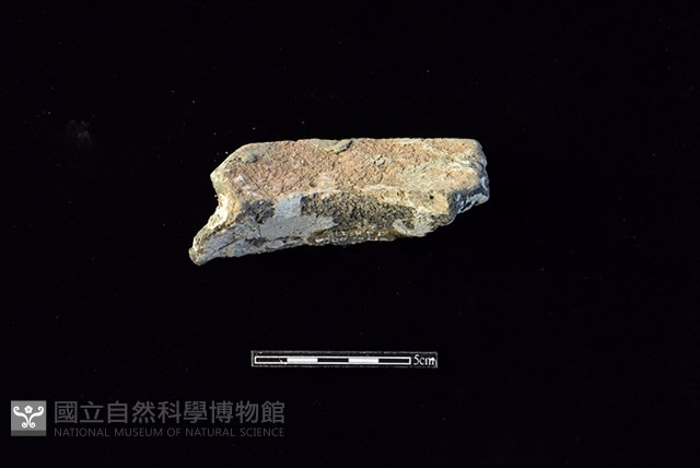 陶罐藏品圖，第2張