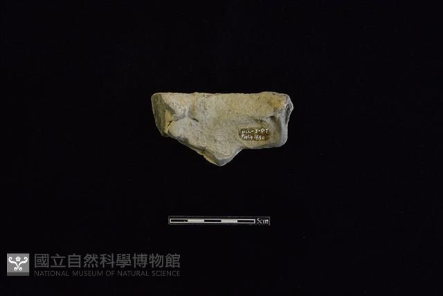 陶缽藏品圖，第2張