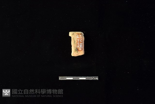 陶片藏品圖，第2張