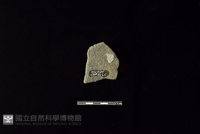 陶片藏品圖，第2張