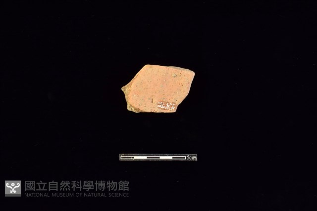 陶片藏品圖，第2張