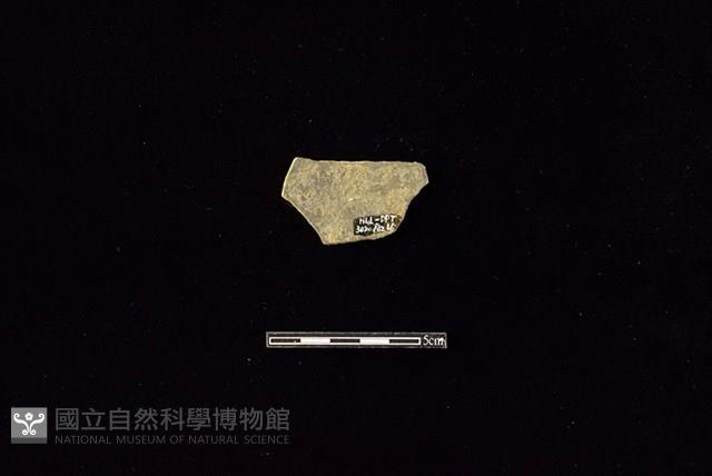 陶片藏品圖，第2張