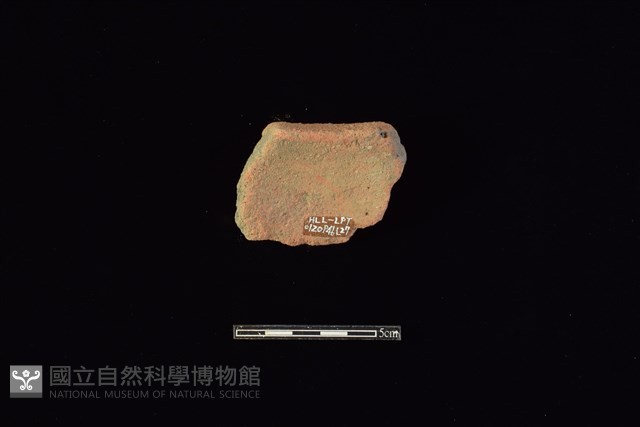 陶片藏品圖，第2張