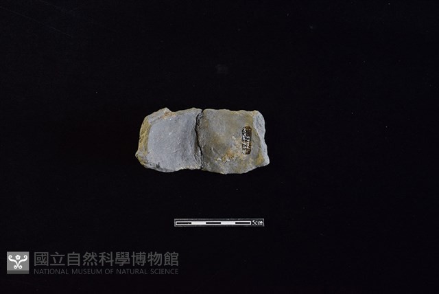 陶片藏品圖，第2張
