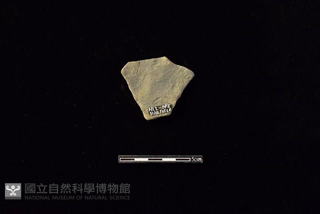 陶片藏品圖，第2張