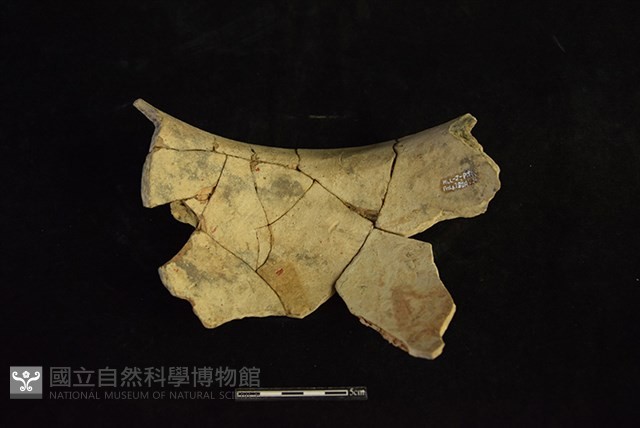 陶罐藏品圖，第2張