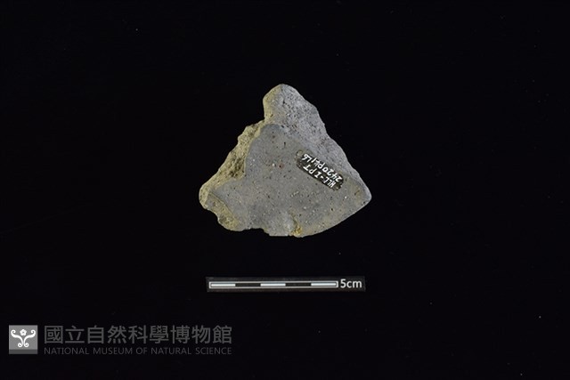 陶蓋鈕藏品圖，第2張