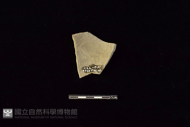 陶片藏品圖，第2張