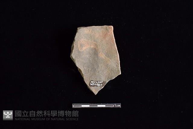 陶片藏品圖，第2張