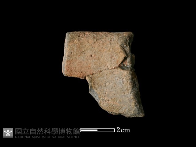 陶罐藏品圖，第2張