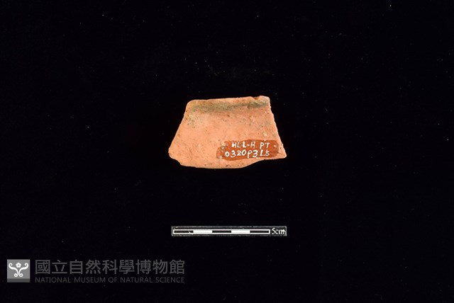 陶片藏品圖，第2張