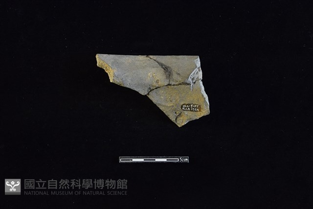 陶罐藏品圖，第2張