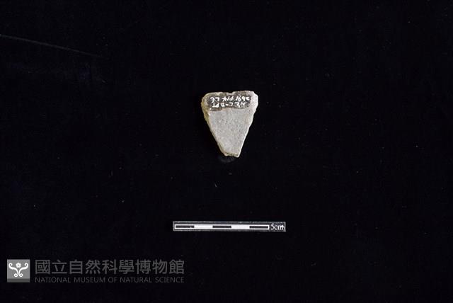 陶片藏品圖，第2張