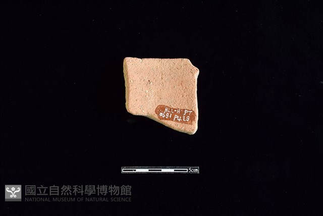陶片藏品圖，第2張