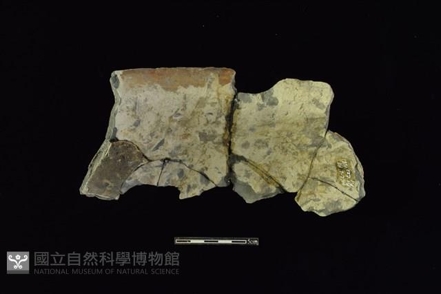 陶罐藏品圖，第2張