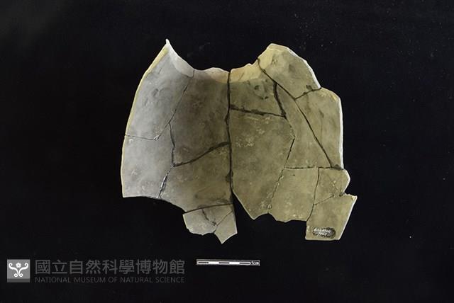 陶罐藏品圖，第2張