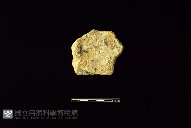 陶片藏品圖，第2張