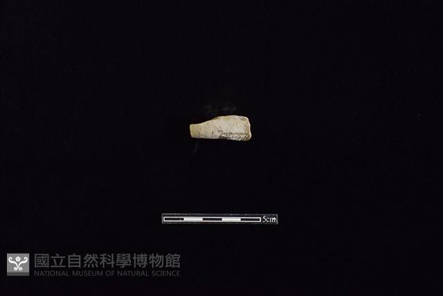 陶把藏品圖，第2張